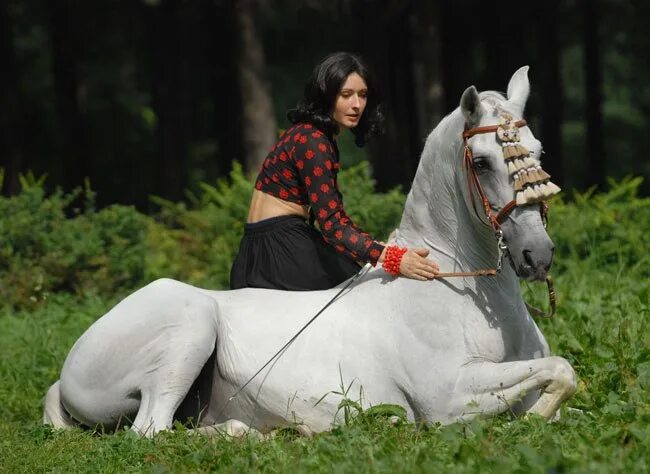 Лошадь лежит. Андалузские девушки. Девушка с белым конем. Лошадь лежит рядом с человеком.
