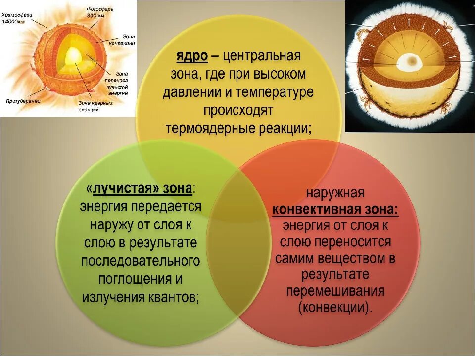 Способ передачи энергии солнца. Внутренне строение солнца ядро. Строение солнца ядро Лучистая зона конвективная зона. Внутреннее строение солнца астрономия 10 класс. Строение солнца внешние слои.