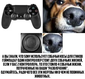 Хватит пользоваться