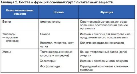 Строение и функции белков и жиров