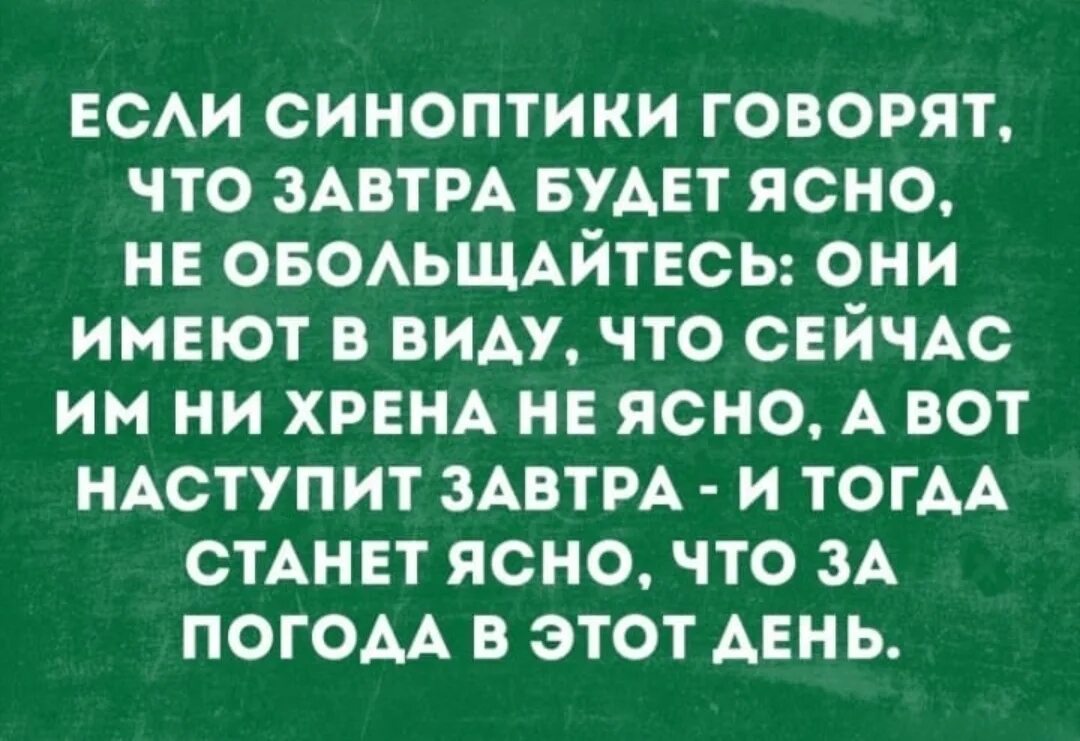 Синоптики сказали что завтра будет ясно. Передохнём или от жары. Синоптики сказали. Анекдоты о синоптиках. Ночной дождливы хабаровск.