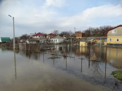 Чембурка анапская