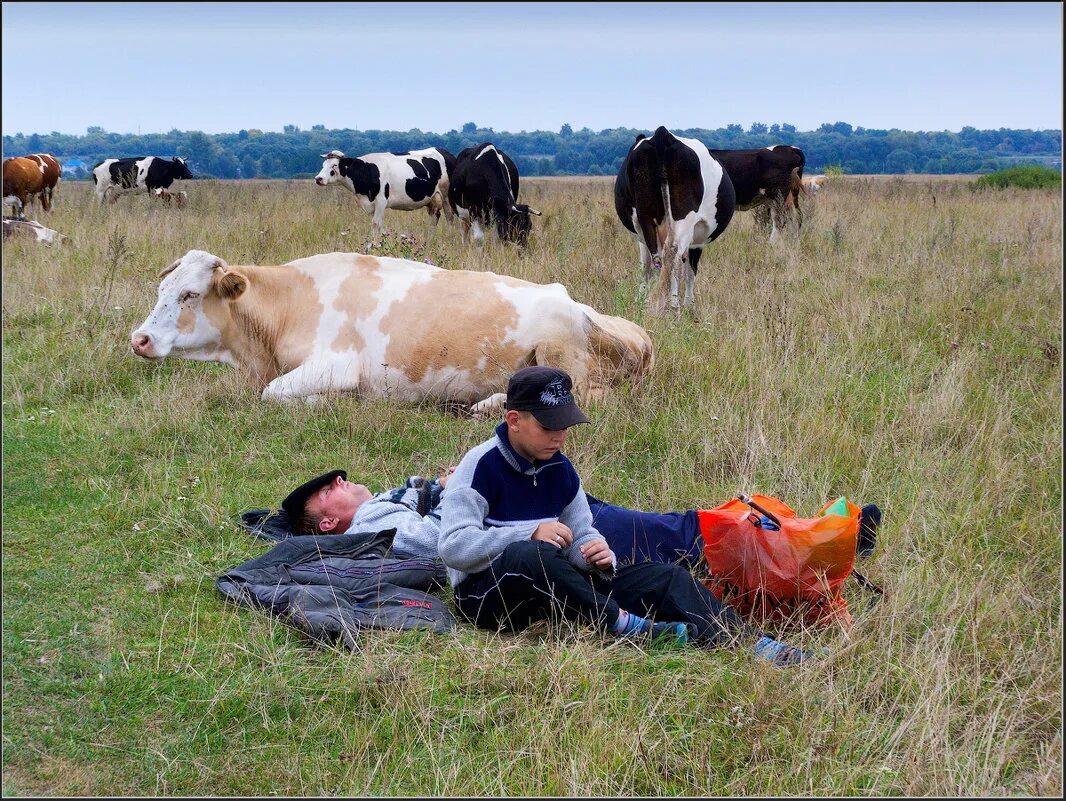 овчар пастух. погонщик скота. пастух 19 века. пасти коров. пастух коров.