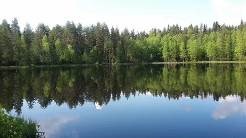 Погода на 10 дней ленинградская область лемболово