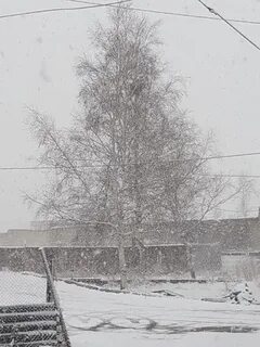 Соболево 25