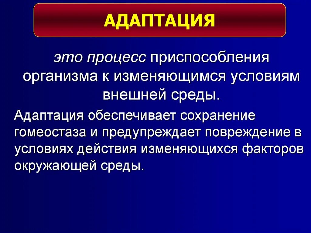 Адаптация это процесс организма к меняющимся условиям среды. Адаптация ок условиям внешней среды. Адаптация к изменяющимся условиям. Гомеостаз и адаптация.