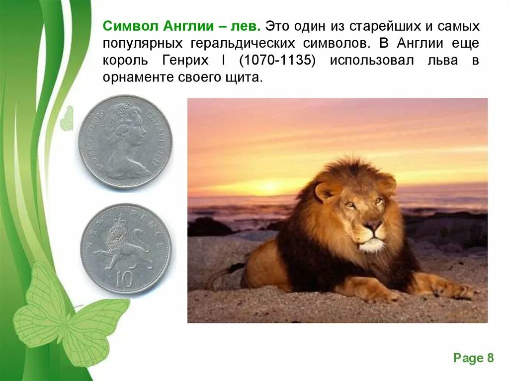 Какой зверь является символом