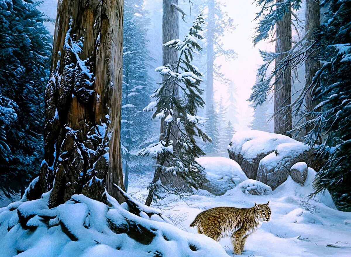 Изображен зимний лес. Зимний лес. зимой в лесу. заснеженный лес. зимний лес живопись.