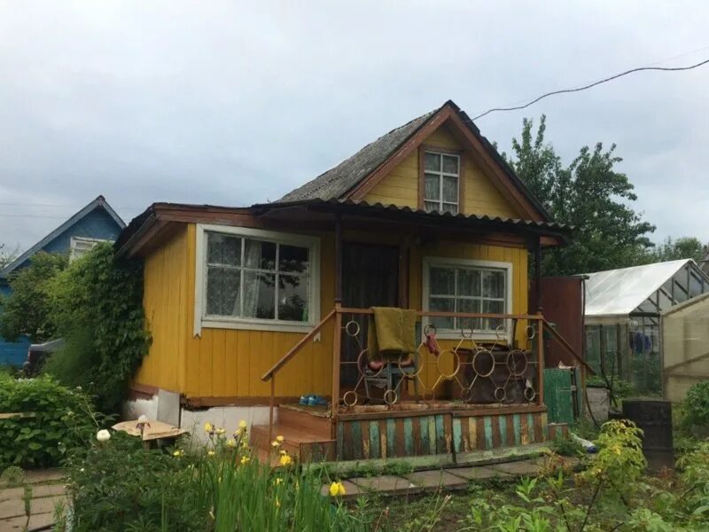 Снт ижсталь. Садоогороды. Авито недвижимость садоогороды ижевск. Снт ижсталь 1-2 ижевск. Садоогороды в ижевске.