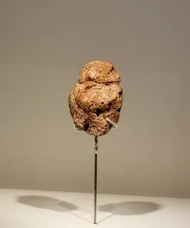 The Venus of Berekhat Ram (280,000-250,000 BP) is a pebble found at Berekha...