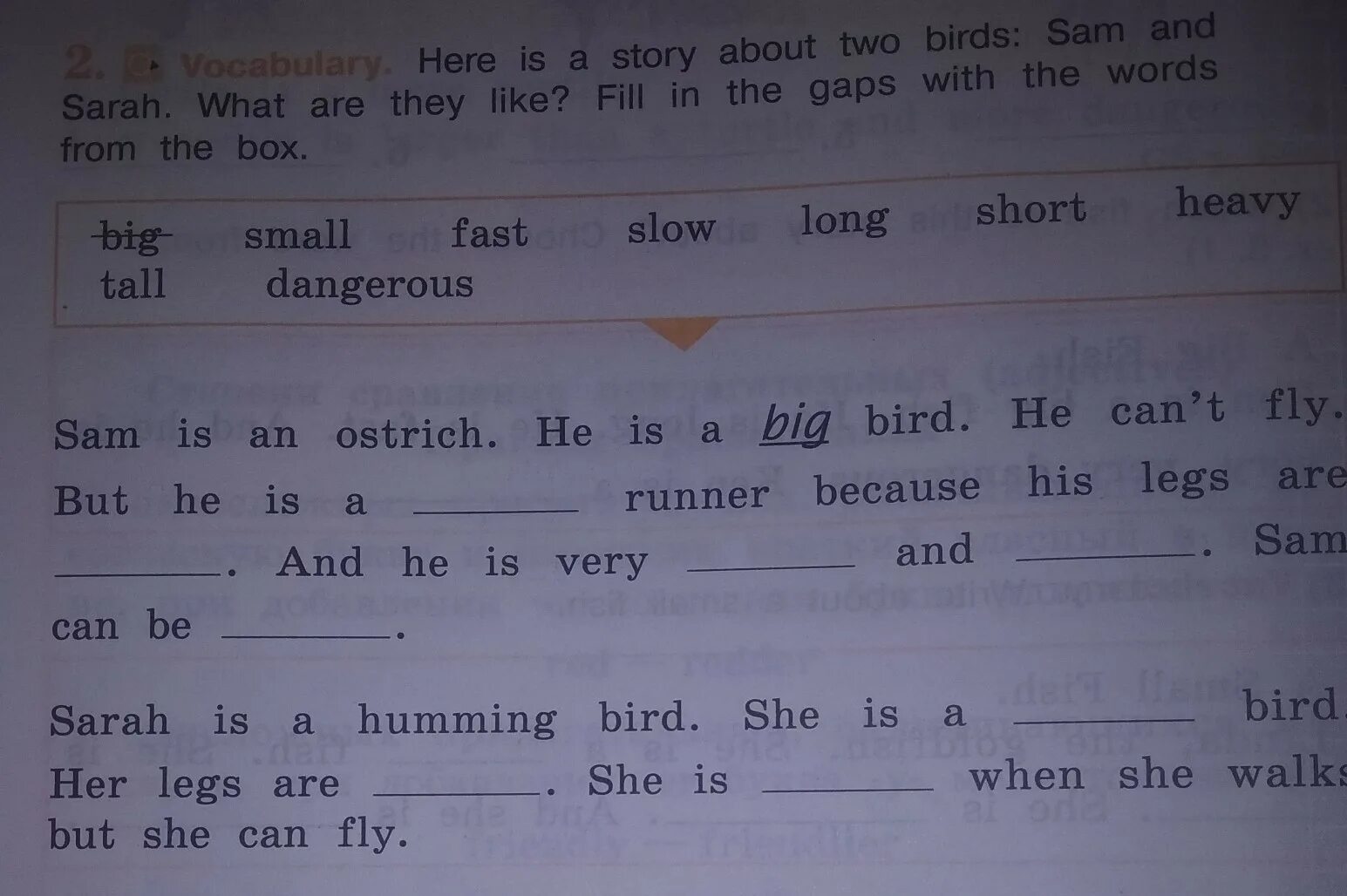 Here are two more. Two Birds текст. Game about two Birds. Game about two Birds and Hell. Mrs Mouse has got three children.