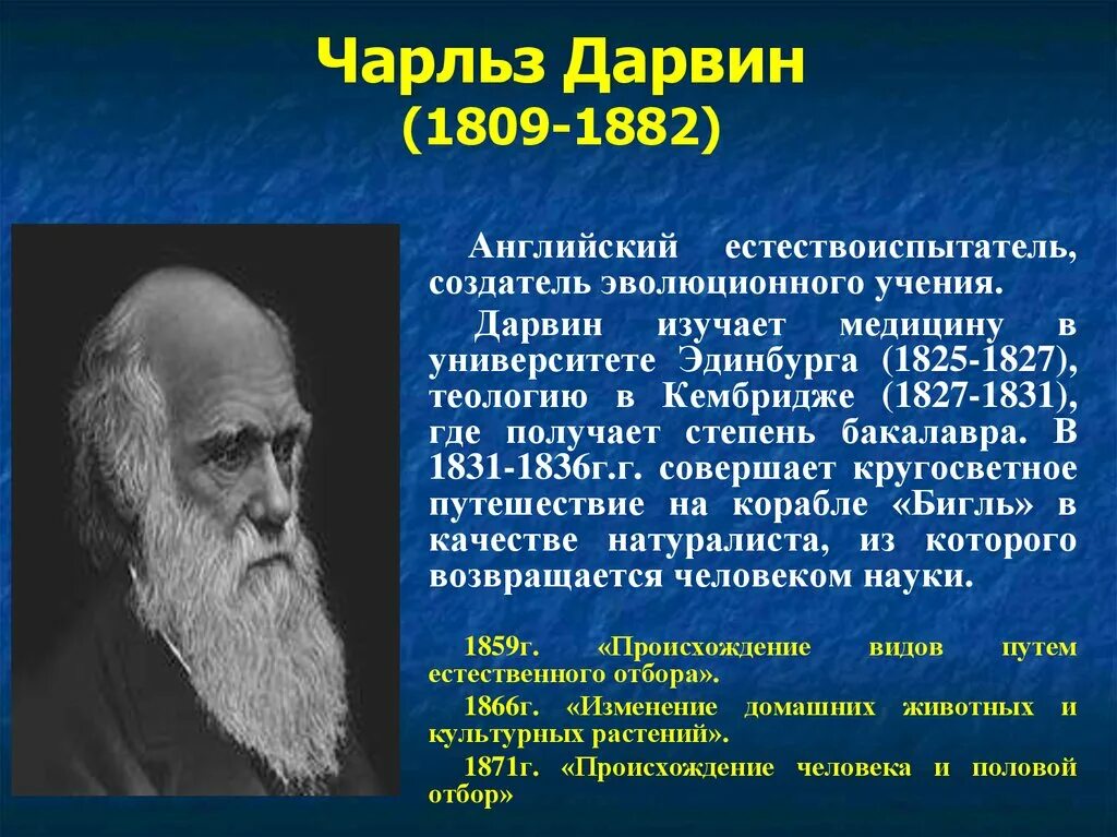 Дарвинизм. Дарвин жил и работал. Чарлз дарвин вклад в биологию. Дарвин жил и работал. Дарвин жил и работал.