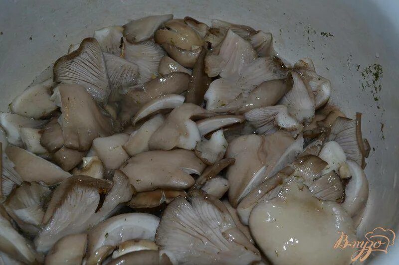 Приготовить грибы вешенки. Вешенки блюда. Вешенки грибы отварные. Вешенки что приготовить. Вешенка вареная.