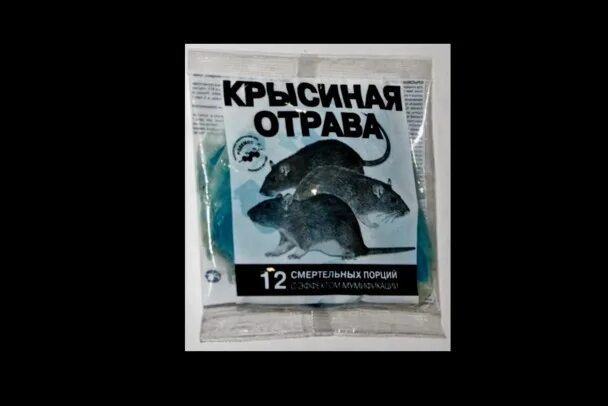 Собака съела крысиную