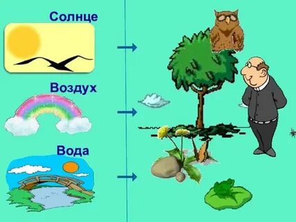 Живое неживое примеры связей 3
