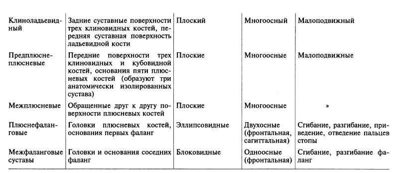 Соединение костей особенности строения конечностей. Суставы верхней конечности таблица. Суставы верхних и нижних конечностей таблица анатомия. Суставы костей в нижних конечностях таблица. Соединения костей нижней конечности таблица анатомия.