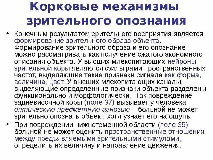 Образ в физиологии. Физиологические показатели работоспособности. Физиология связь с медицинскими науками. Понятие о физической работоспособности. Образ в физиологии.