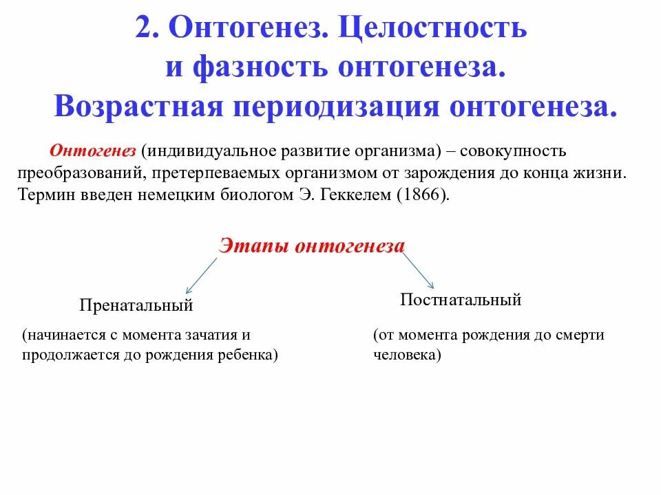 Последовательность событий онтогенеза. Целостность и Фазность онтогенеза. 1.Основные закономерности онтогенеза?. Основные стадии онтогенеза. Основные этапы онтогенеза.