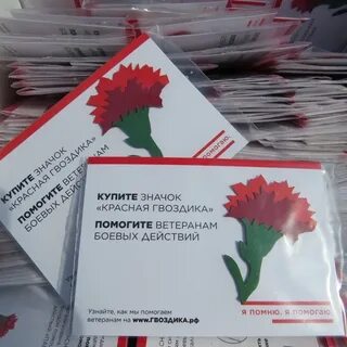 Красная гвоздика гомель сайт