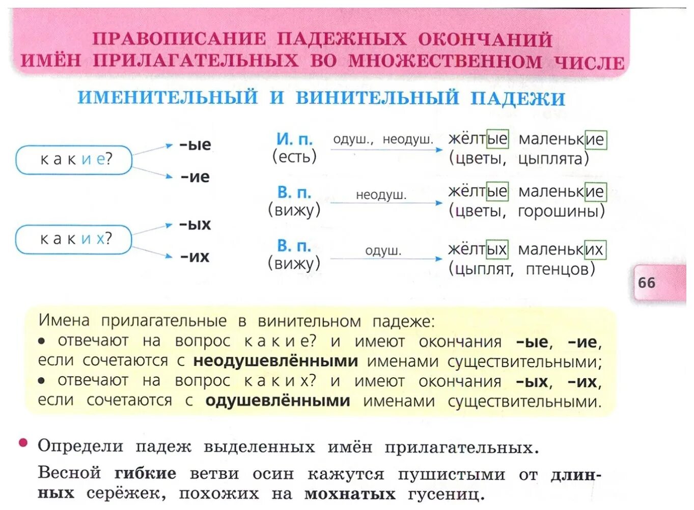 Русский язык раздаточный материал 4 класс. Падежи имен прилагательных во множественном числе. Падежные окончания имен прилагательных во множественном числе. Падежные окончания прилагательных множественного числа. Множественное число имен прилагательных 4 класс карточки