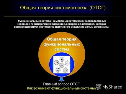 Системогенез