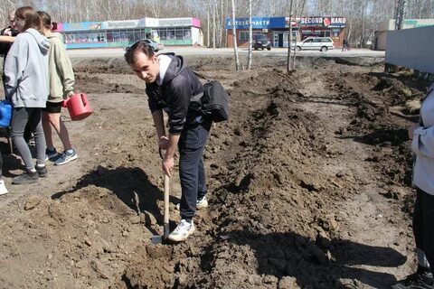 Аллея посадят