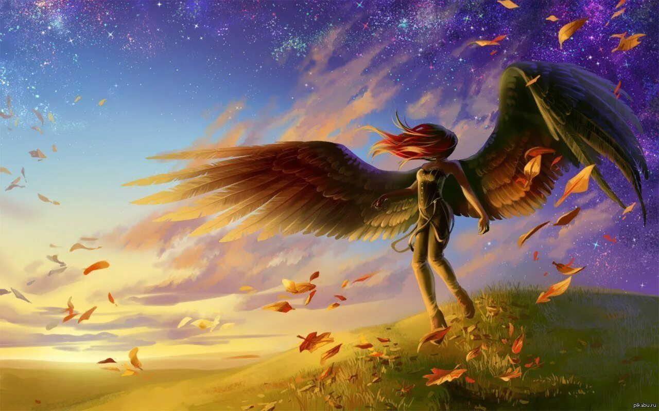 Ангелы мечтают. Человек с крыльями. Девушка с крыльями птицы. Человек с крыльями птицы. Человек с крыльями арт.