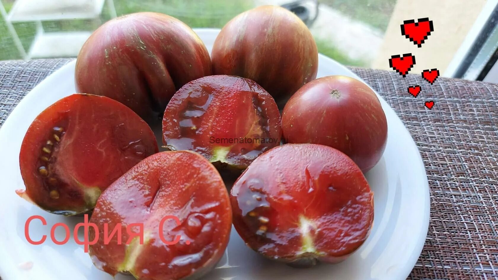 Гном грааль. Томат гном грааль. Томат гном грааль. Томат грааль dwarf grail. Гном грааль.