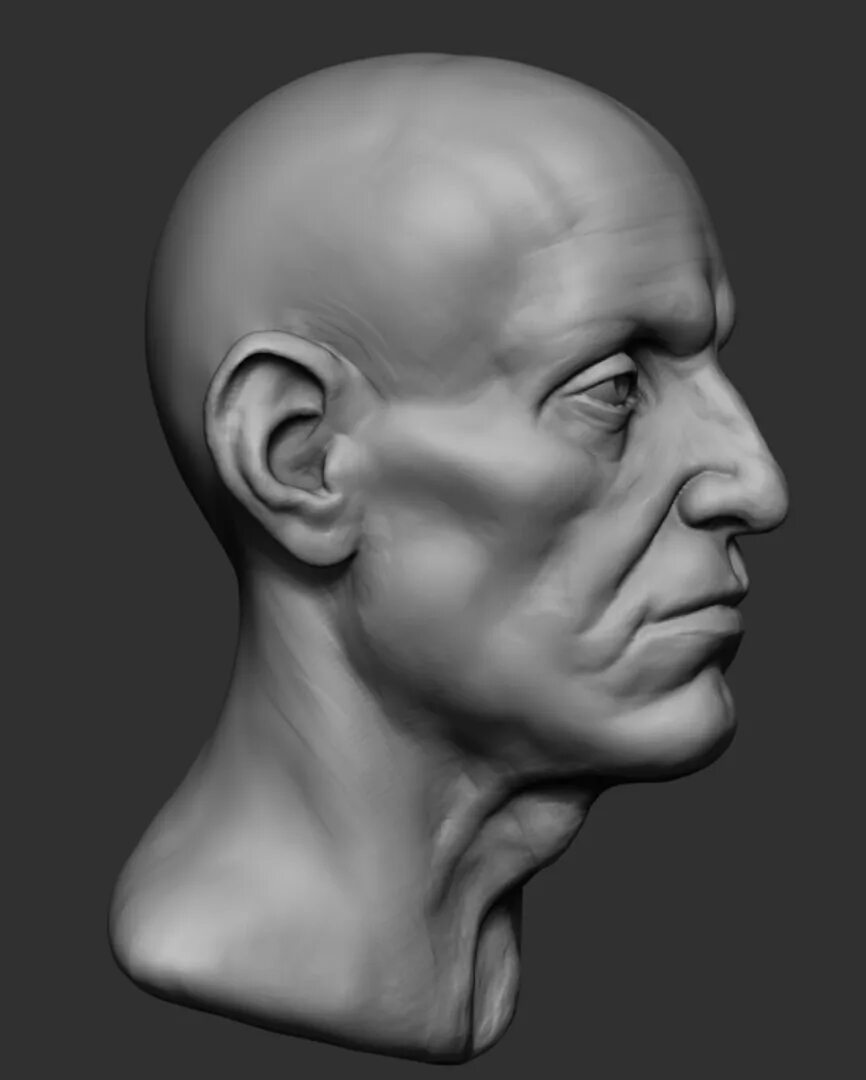 Модель человека збраш анатомия. Голова человека. Анатомия головы для скульпторов. Based heads