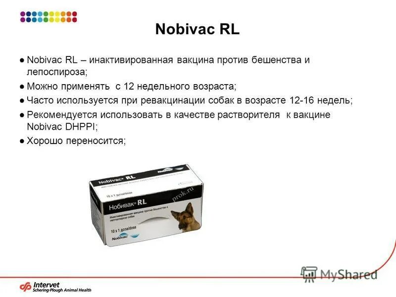 Где вакцина нобивак. Нобивак повторная вакцинация. Нобивак РЛ характеристики. Нобивак повторная вакцинация щенка составляющие. Характеристика вакцины Нобивак корона.