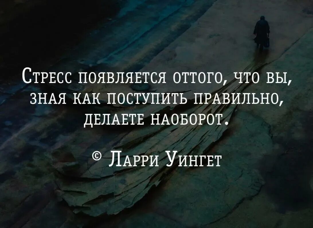 Цитаты про стресс. Афоризмы про стресс. Фраза про стрессоустойчивость. Афоризмы про стрессоустойчивость. Другого человека это неприятно