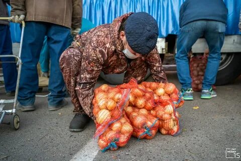 26 ноября ярмарка