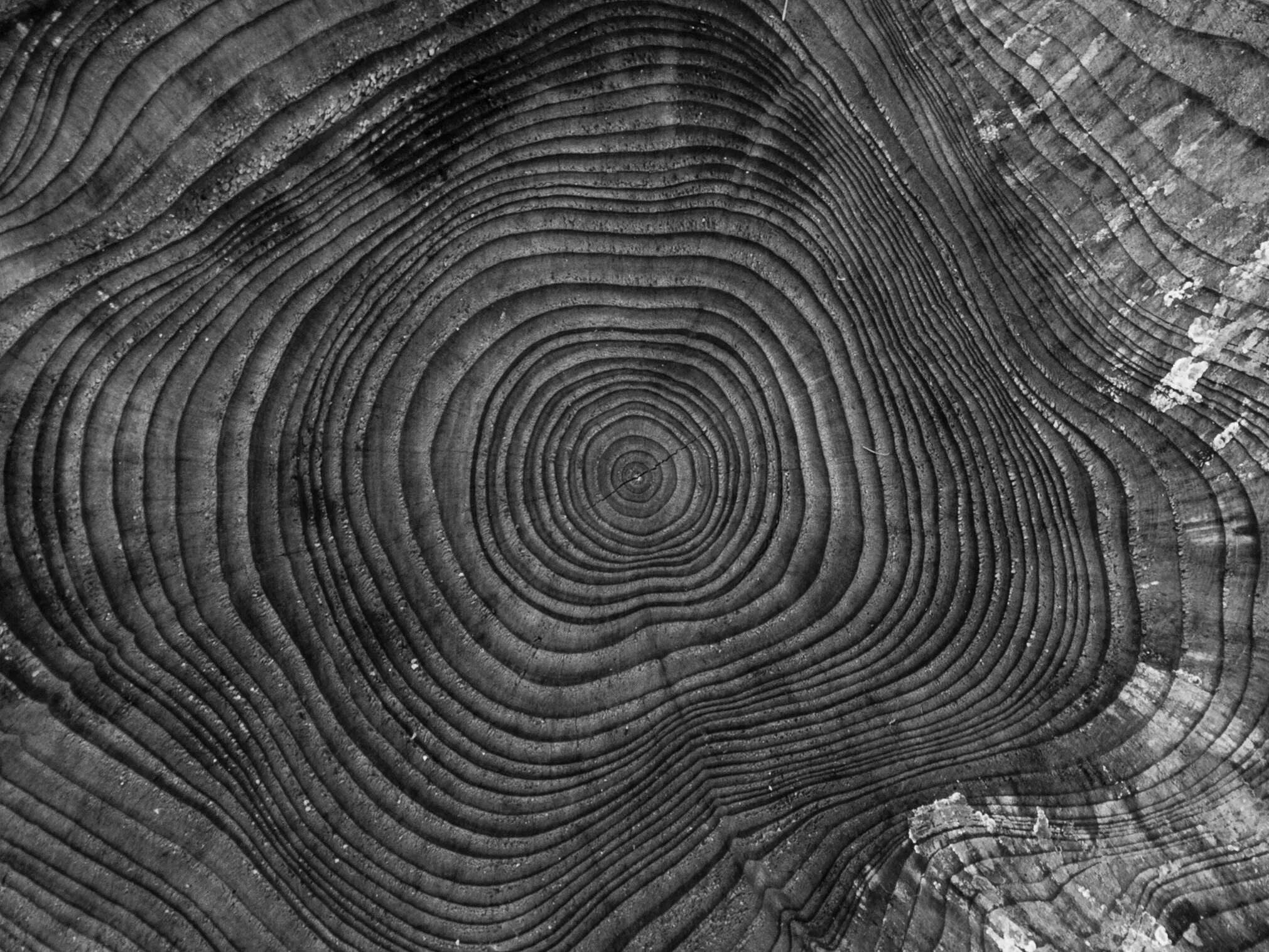 Texture based