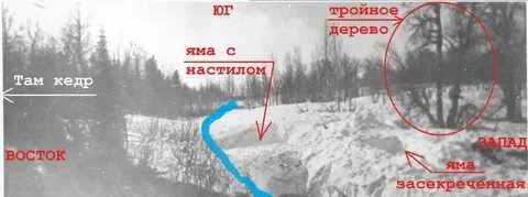 Дятлов она была первой