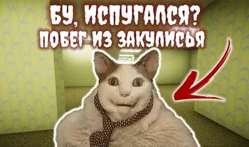 Бу испугался побег из закулисья. Бу испугался побег из закулисья
