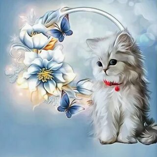 Открытки с котиков