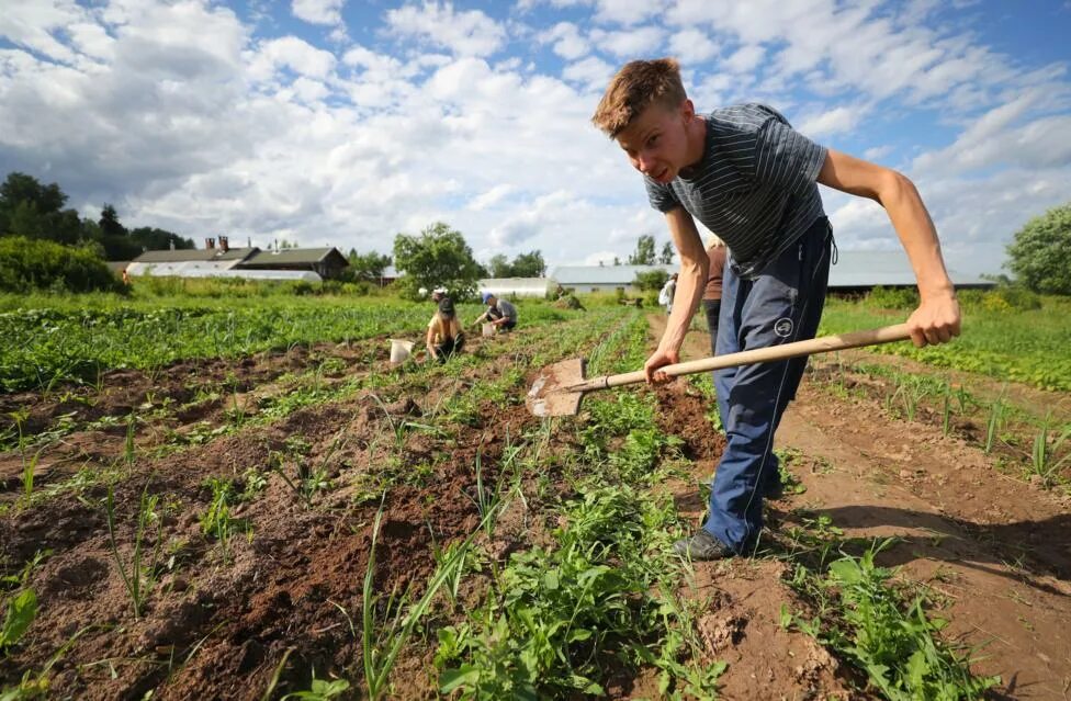 Работа в деревне вакансии