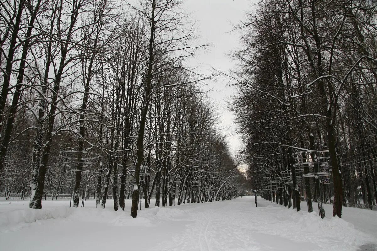 измайловский кремль измайловский лесопарк. измайловский лесопарк зима. измайловский парк москва зима. измайловский парк зимой. измайловский парк москва зима.
