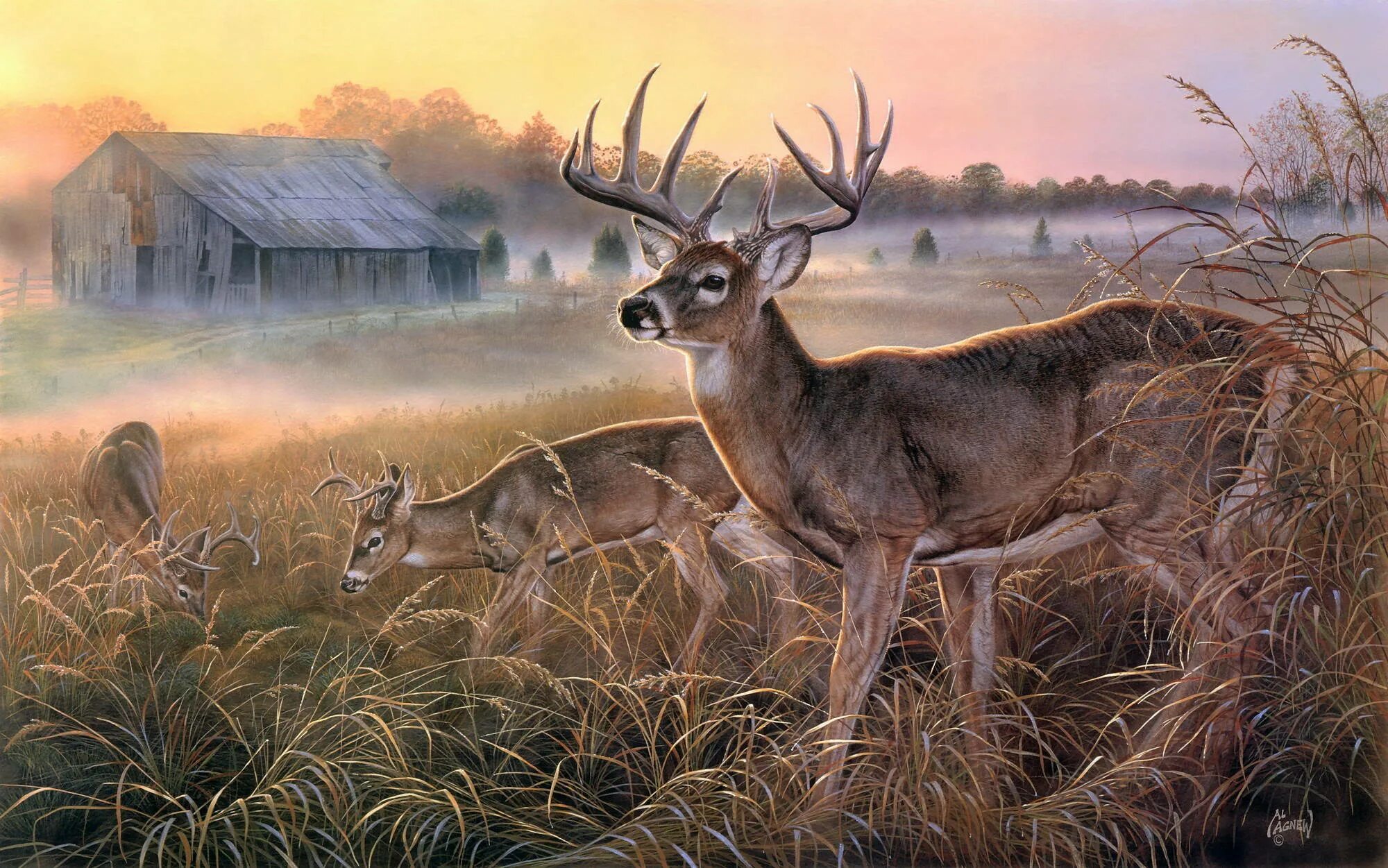 картины с животными. картины с животными. художник persis clayton weirs. ). картина животные.