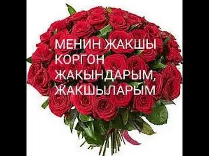 Бир тууган ыр