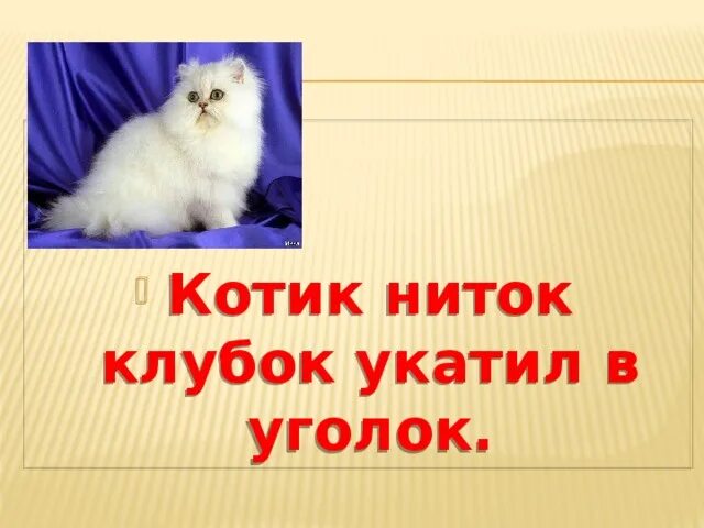 Котенок и пряжа. Кот на нитке королев. Котенок с клубочком. Котенок с нитками. Кот на нитке королев.