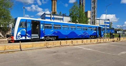 Нерпочка сортавала