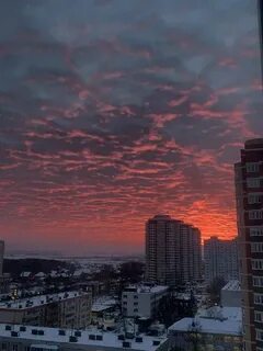 Котельники 24