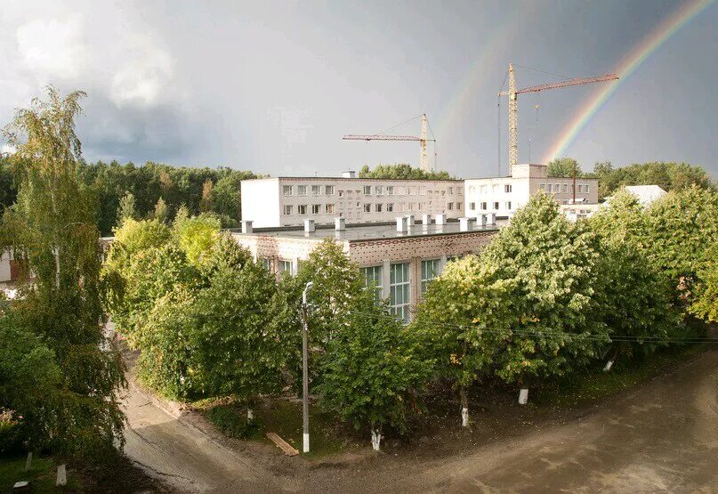 институт им пушкина в пушкине спб. бокситогорск, любимый город. пушкин бокситогорск. пушкина логотип. а.