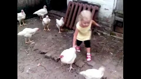 Ловить кур