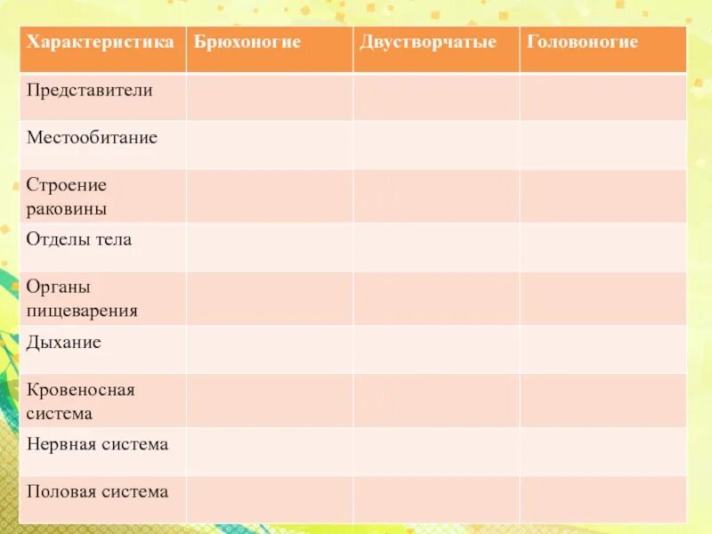 Характеристика классов моллюсков. Класс брюхоногие характеристика. Брюхоногие двустворчатые головоногие таблица. Строение представителя класса брюхоногие. Отделы брюхоногих