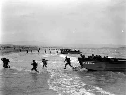 D day что это