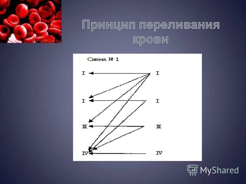 Гетерозиготные особи имеют генотип