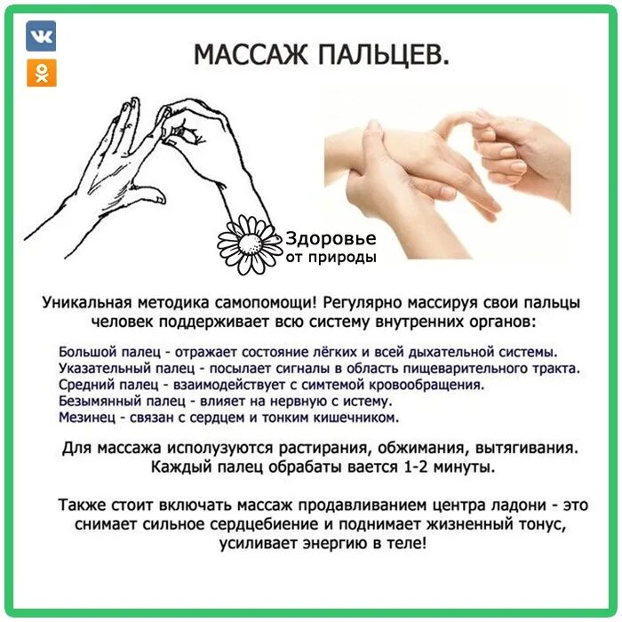 Какие точки надо массировать. Массаж пальцев рук. Массаж пальцами. Точечный массаж пальцами. Самомассаж рук и кистей.