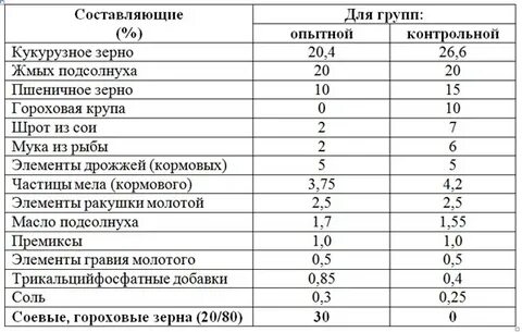 Кормлю перепелов комбикормом
